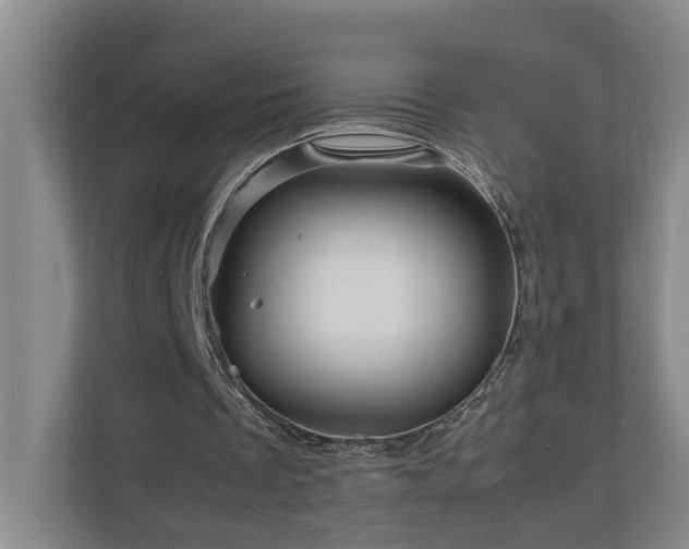 X0000111120289200906301316