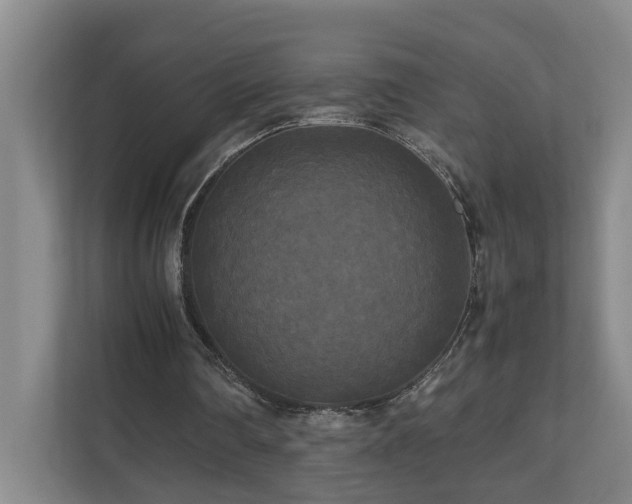 X0000111120290200906301316