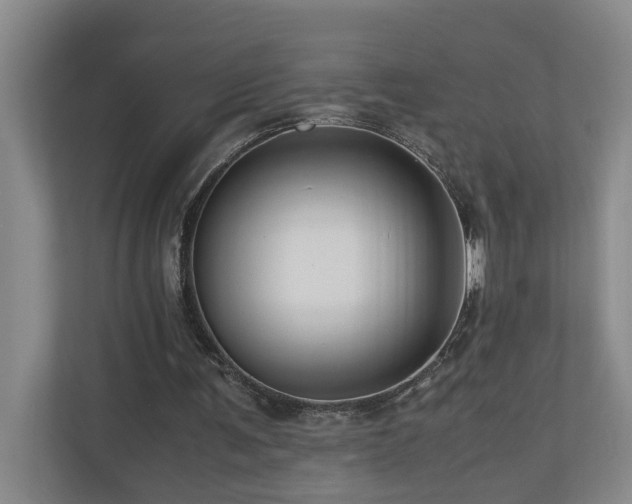 X0000111120291200906301316