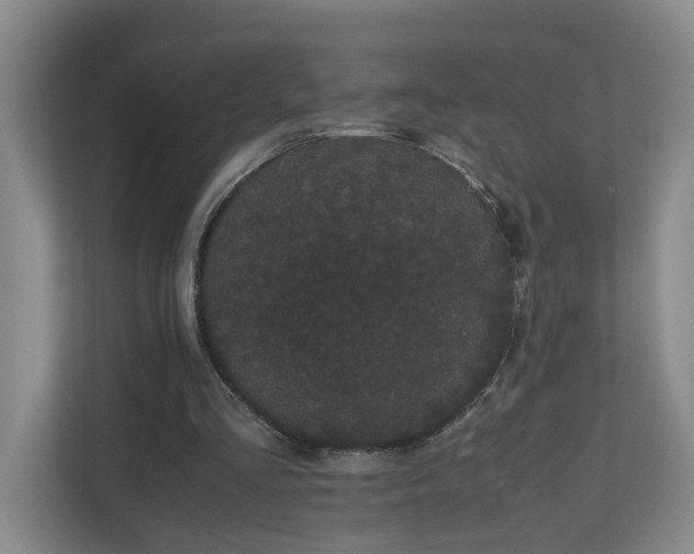 X0000111120293200906301316