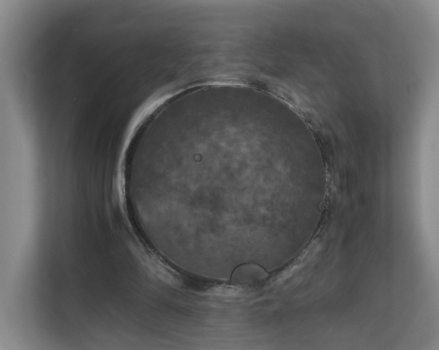 X0000111120294200906301316