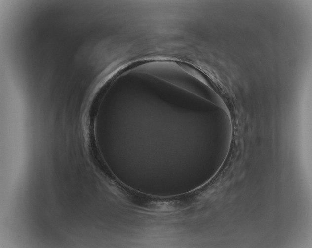 X0000111120295200906301316