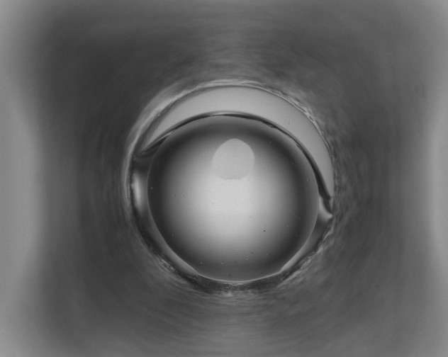 X0000111120296200906301316