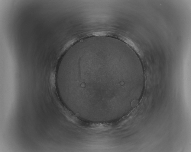 X0000111120297200906301316