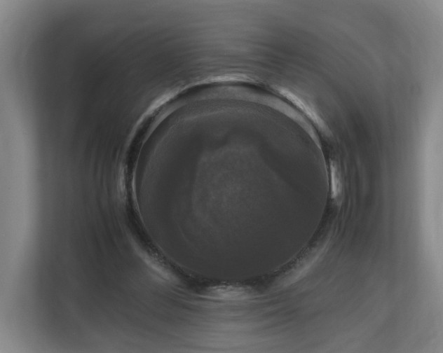 X0000111120300200906301316