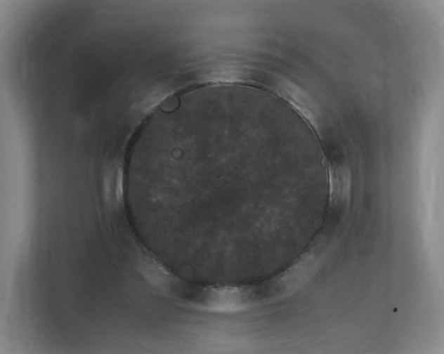 X0000111120301200906301316