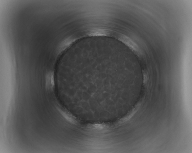 X0000111120302200906301316