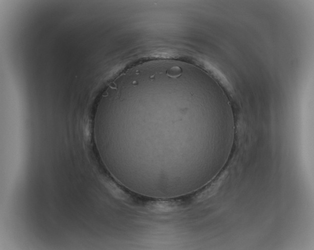 X0000111120305200906301316