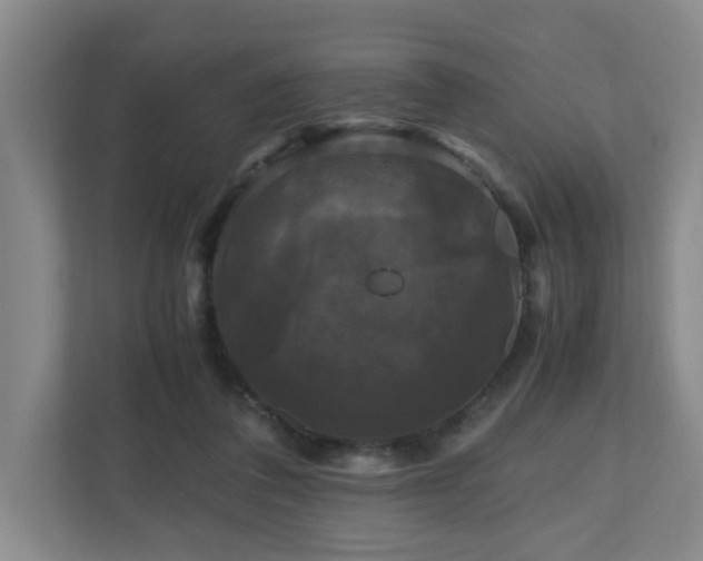 X0000111120308200906301316