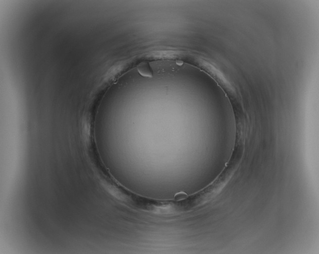 X0000111120309200906301316