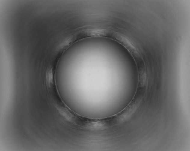 X0000111120310200906301316