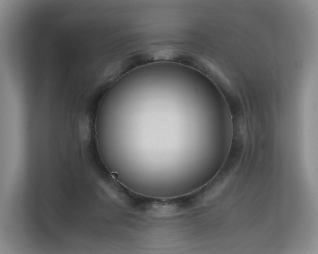 X0000111120311200906301316