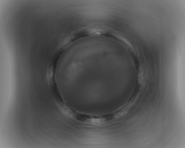 X0000111120314200906301316