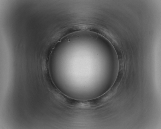 X0000111120317200906301316