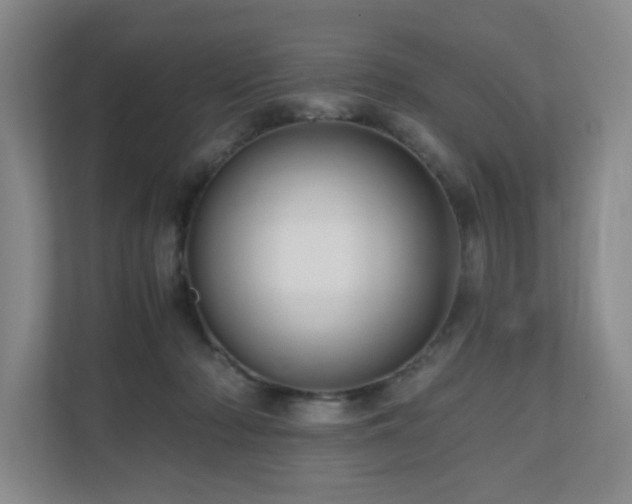 X0000111120318200906301316