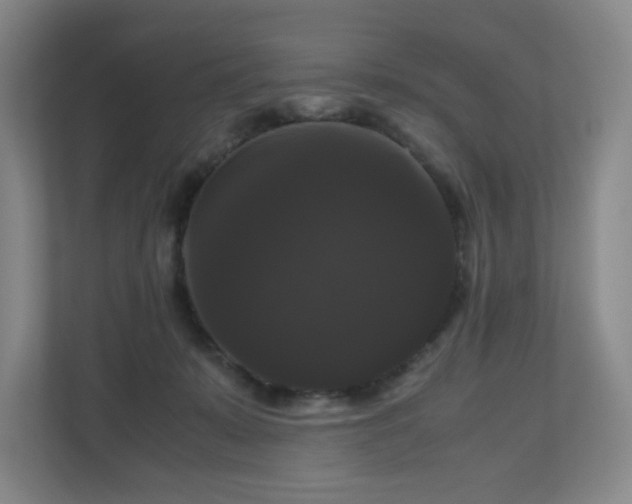 X0000111120319200906301316