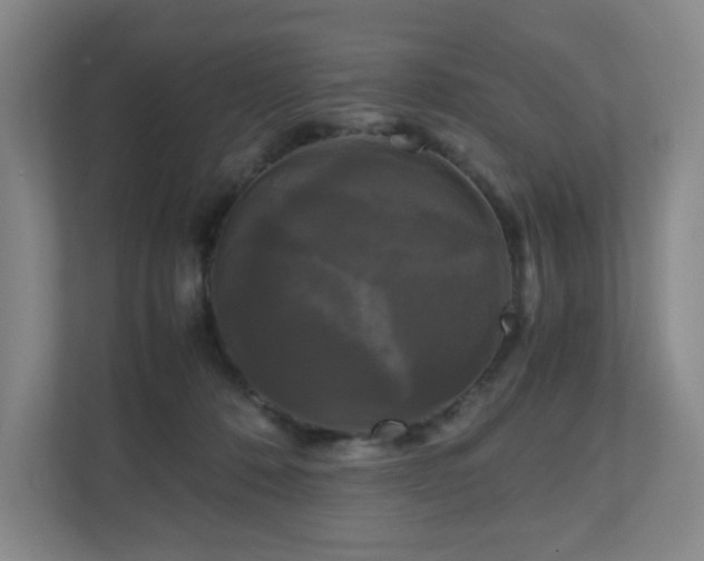 X0000111120320200906301316