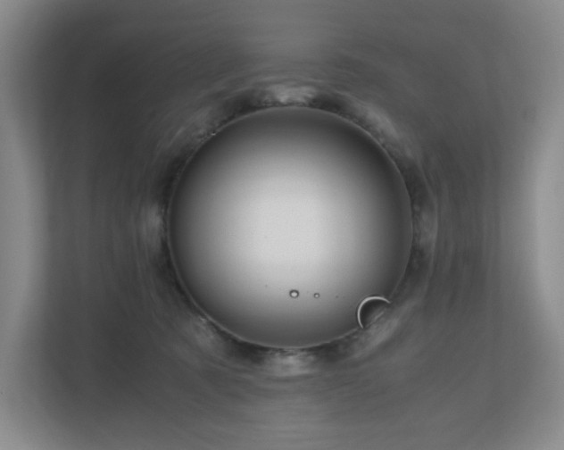 X0000111120321200906301316