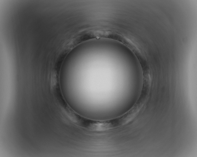 X0000111120323200906301316