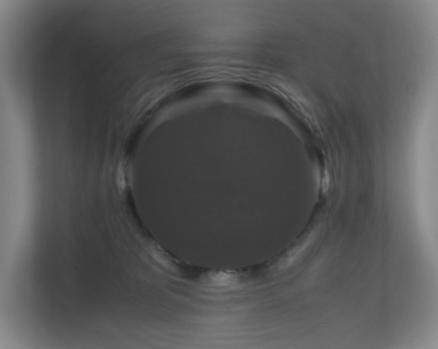 X0000111120325200906301316