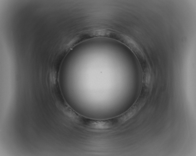 X0000111120326200906301316