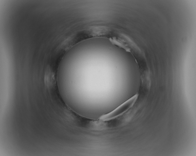 X0000111120327200906301316