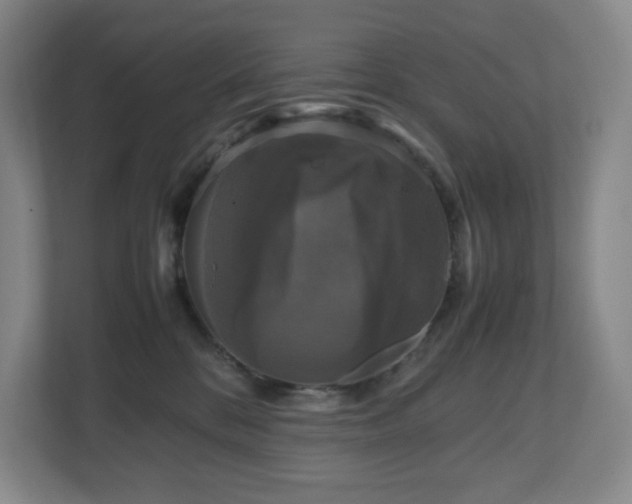 X0000111120328200906301316