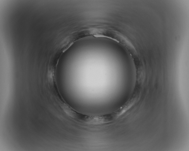 X0000111120329200906301316