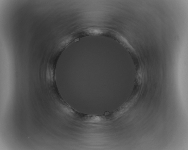 X0000111120330200906301316