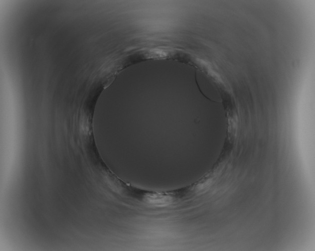 X0000111120331200906301316