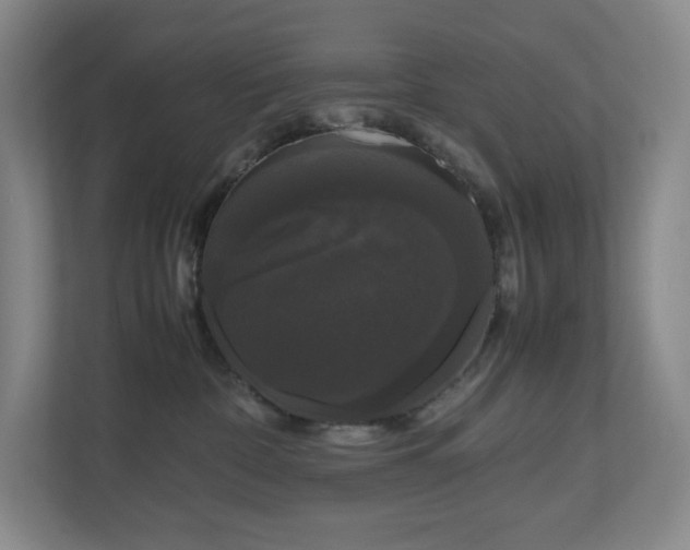 X0000111120332200906301316