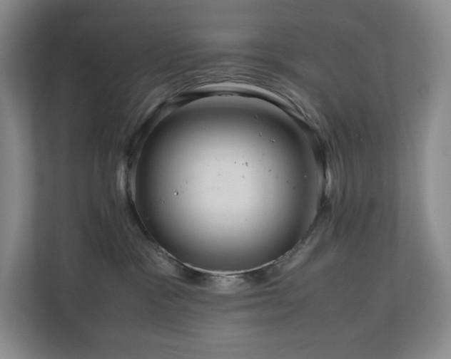 X0000111120333200906301316