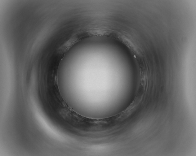 X0000111120334200906301316