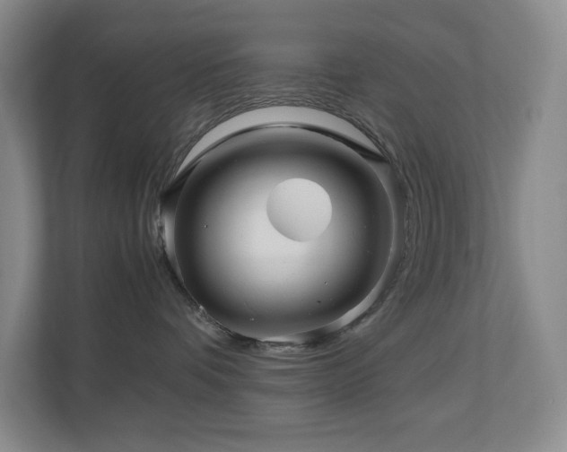 X0000111120336200906301315