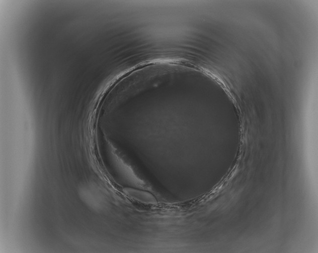 X0000111120337200906301315