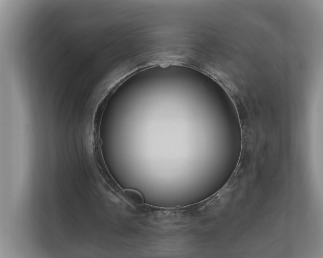 X0000111120338200906301315