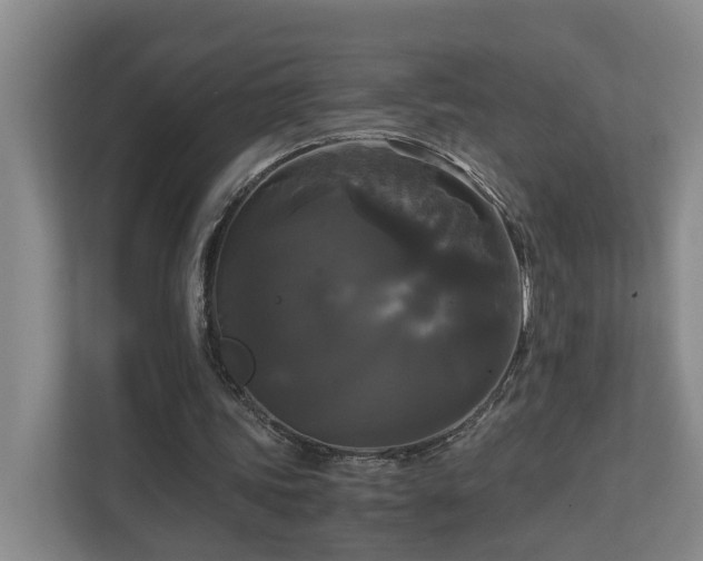 X0000111120339200906301315