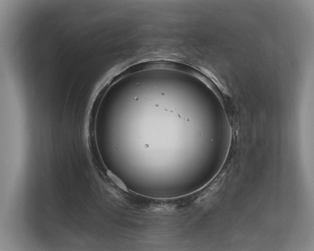 X0000111120340200906301315