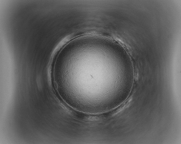 X0000111120341200906301315