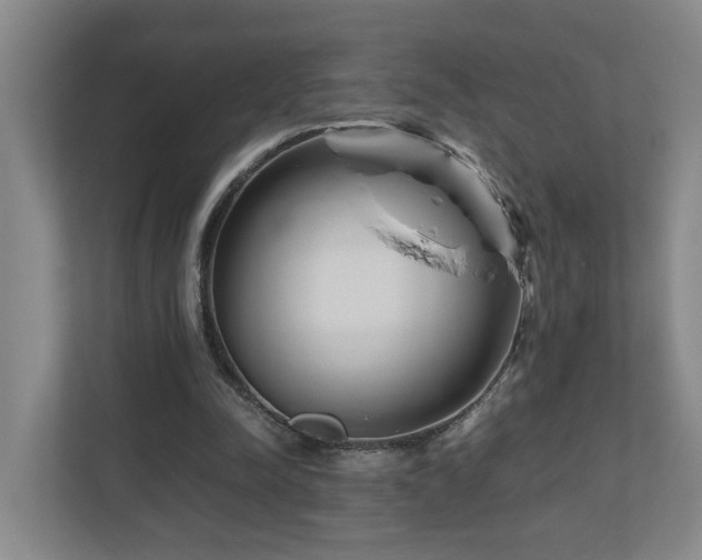 X0000111120342200906301315