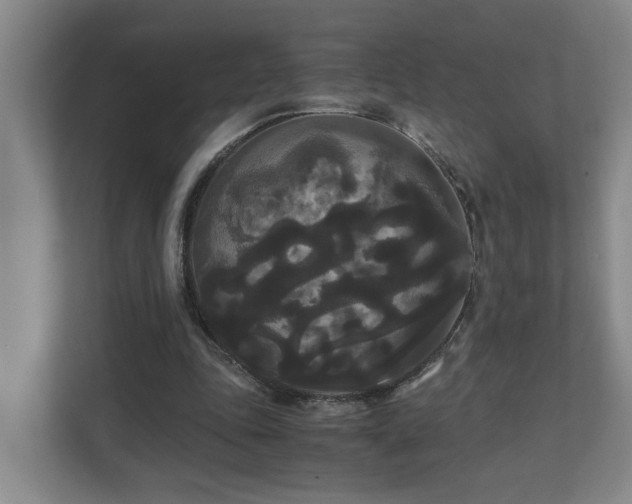 X0000111120343200906301315