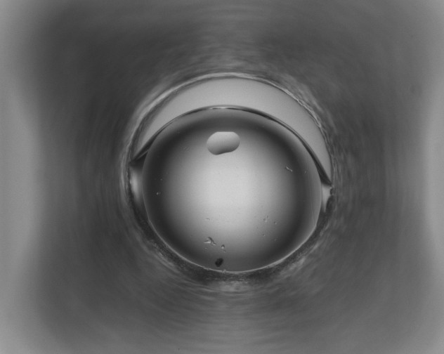 X0000111120344200906301315