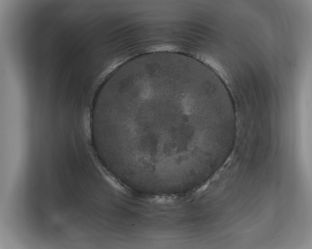 X0000111120345200906301315