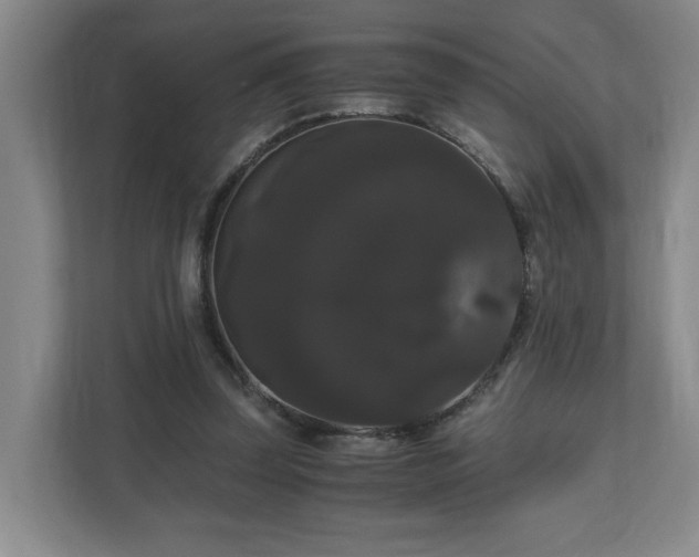 X0000111120347200906301315