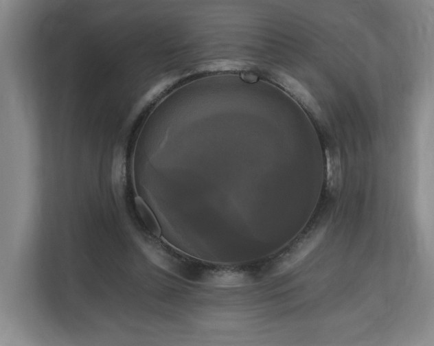 X0000111120348200906301315