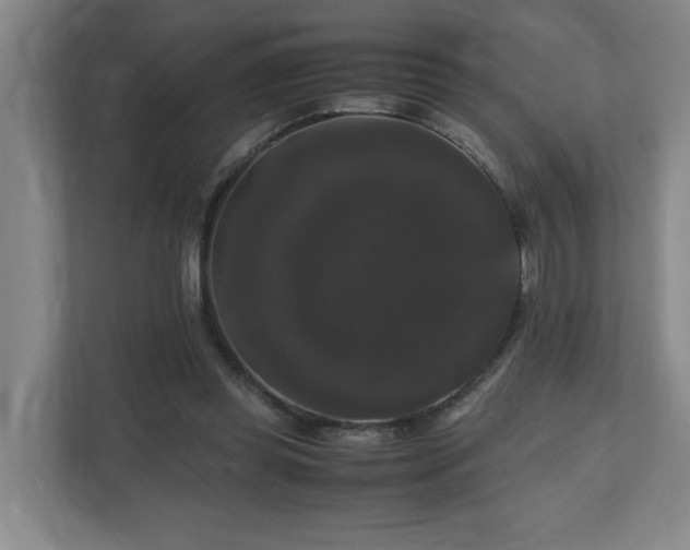 X0000111120349200906301315