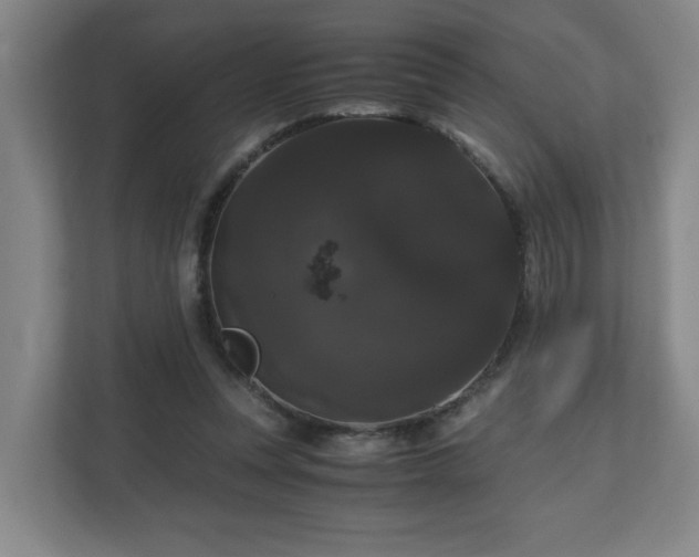 X0000111120351200906301315