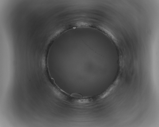 X0000111120353200906301315