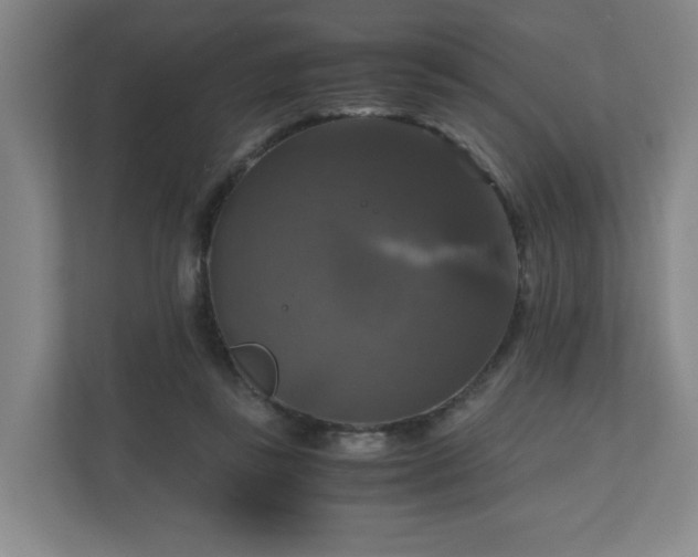 X0000111120355200906301315