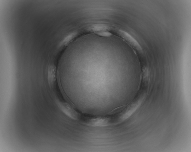 X0000111120356200906301315